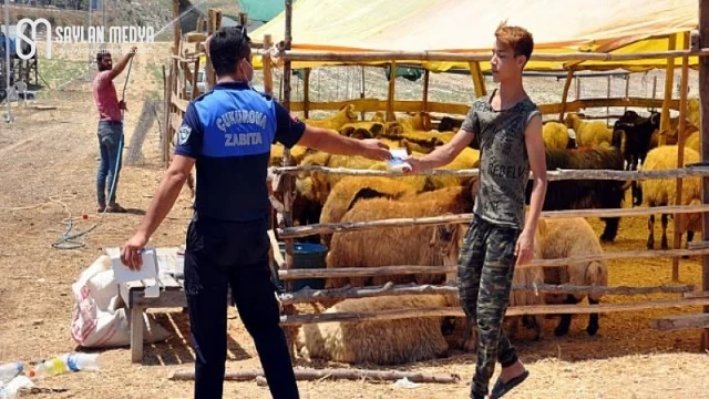 Çukurova’da kurban satış ve kesim yerleri belirlendi