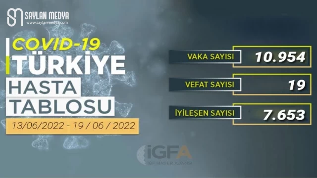 Haftalık COVID-19 verileri açıklandı