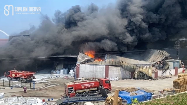 Hatay Arsuz’da antrepo yangınına müdahale sürüyor