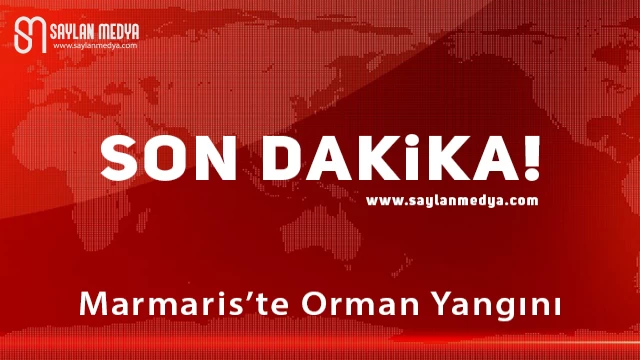 Marmaris'te Orman Yangını Sürüyor