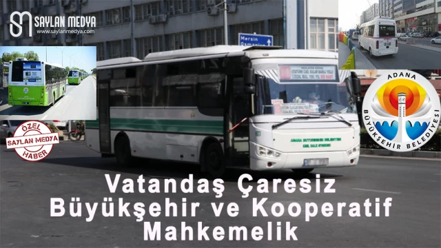 Vatandaş Çaresiz, Büyükşehir ve Kooperatif Mahkemelik