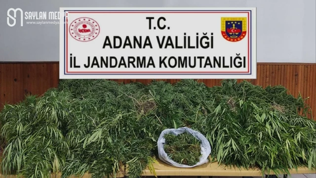 Adana İl Jandarma Komutanlığınca; 52 operasyon yapıldı