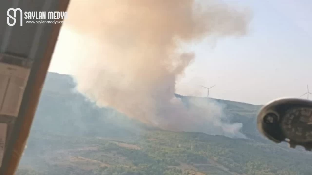 Aydın Söke’de orman yangını!