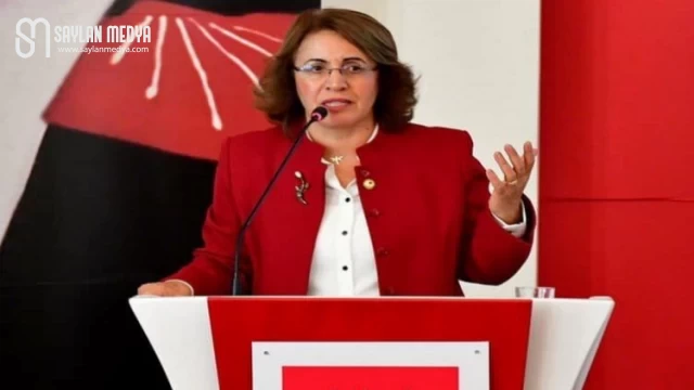 CHP’li Fatma Köse’den ’Danıştay’a tepki