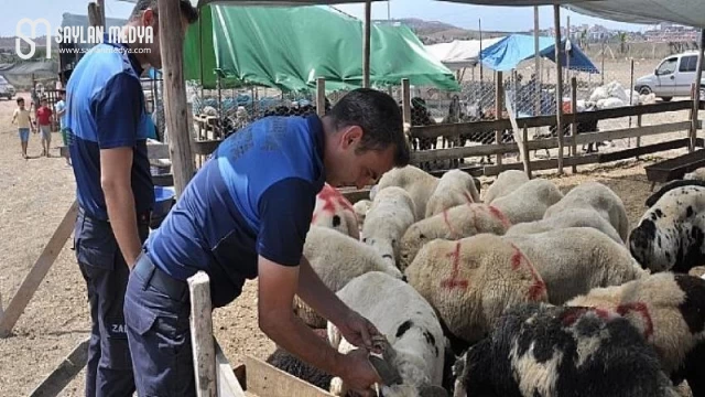 Çukurova’da kurban satış yeri denetimi