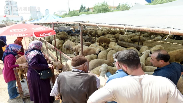 Seyhan'da kurban kesimi bu yıl da ücretsiz