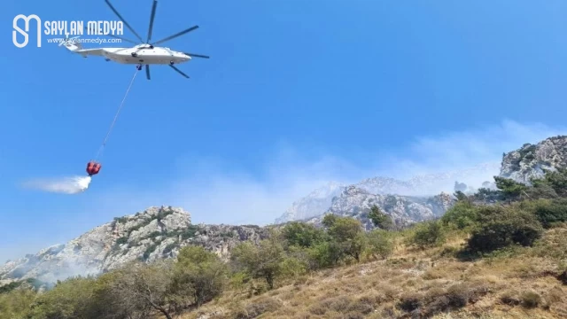 Hatay’da Habib-i Neccar Dağı’ndaki yangın kontrol altında