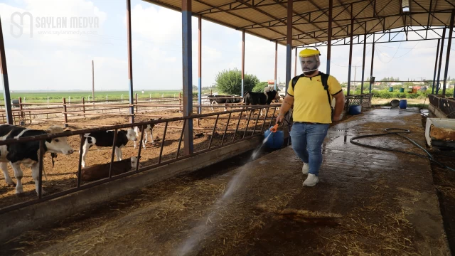 Yüreğir Belediyesi, kırsal mahallelerde vektörle mücadele çalışması başlattı