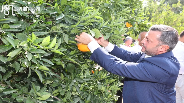 Yüreğir Belediyesi, ‘Akdeniz Meyve Sineği’ ile mücadele başlattı