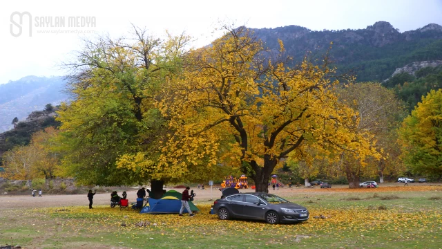 Belemedik Tabiat Parkı Huzur Veriyor