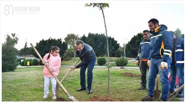 Çukurova Belediyesi turunç ağacı dikme seferberliği başlattı