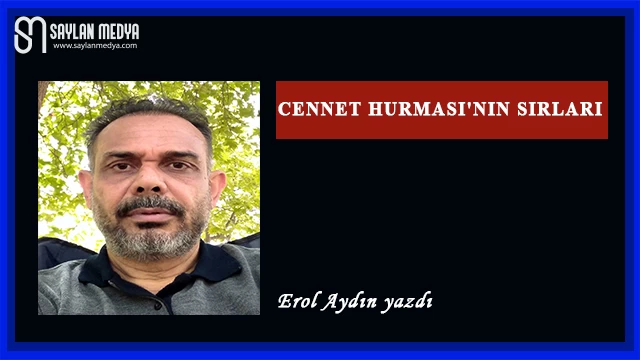 Cennet Hurması'nın Sırları