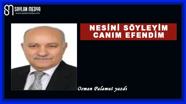 Nesini Söyleyim Canım Efendim