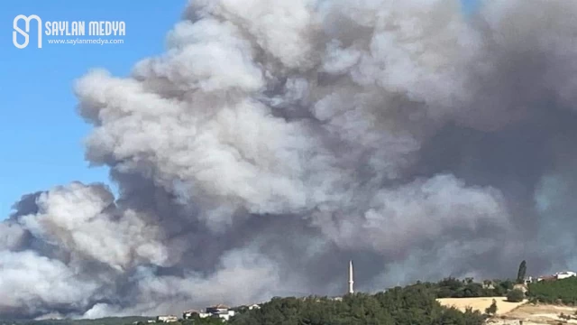 Çanakkale’de alevler yayılıyor