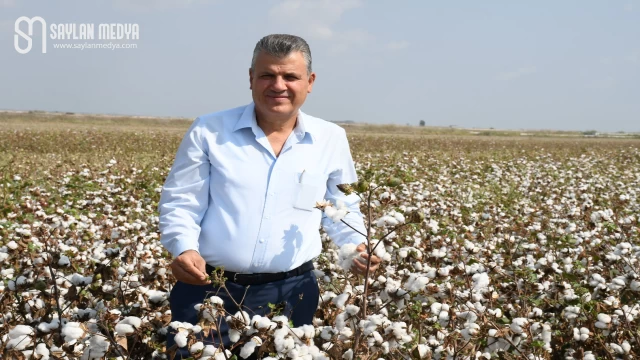 "Pamuk üreticisi hasat sevinci değil fiyat endişesi yaşıyor"