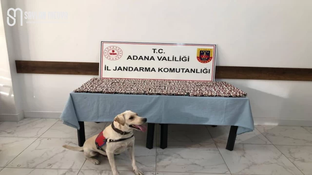 Adana İl Jandarma Komutanlığı, çok sayıda sentetik ecza hapı ele geçirdi