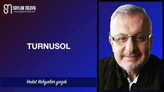 Turnusol