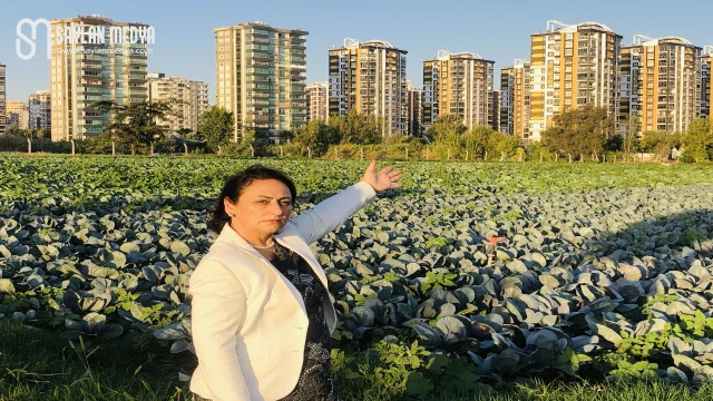 Çukurova, 'Afet Bölgesi' ilan edilmelidir