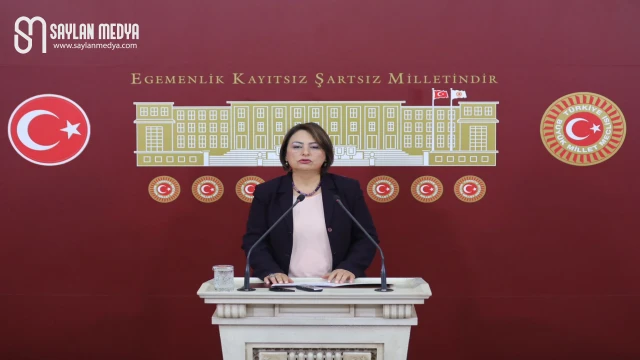 Dr. Müzeyyen Şevkin, yerel medya için Araştırma Komisyonu kurulmasını talep etti