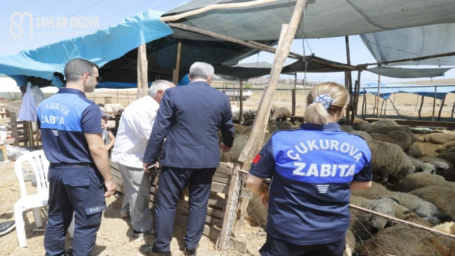 Kurban satış alanları sürekli denetleniyor