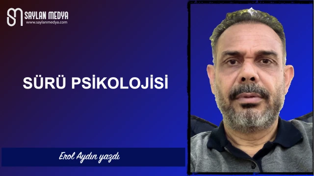 Sürü psikolojisi